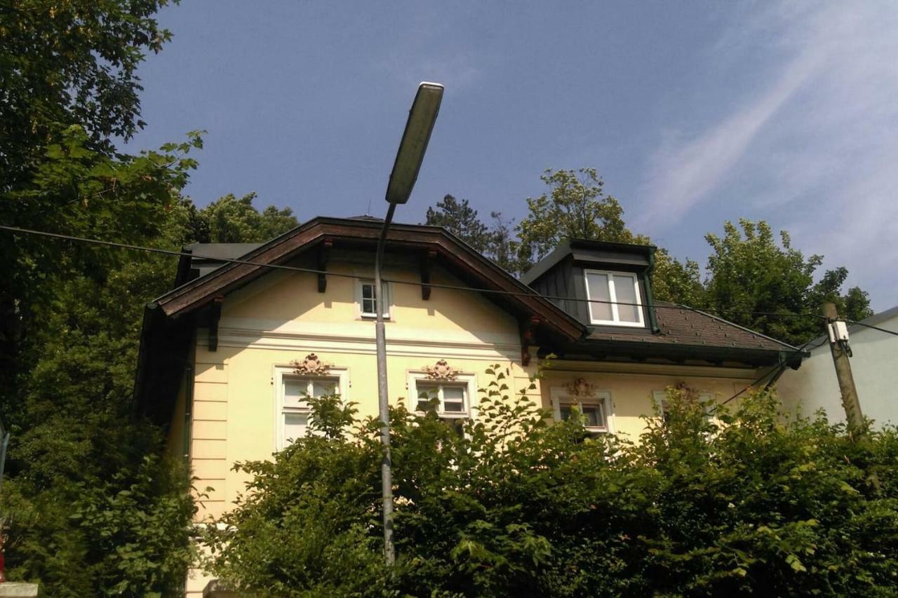 Ruhige, Grosse Ferienwohnung Am Muehlberg, Stadtrand Wiedeń Zewnętrze zdjęcie